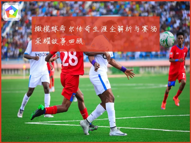橄榄球希尔传奇生涯全解析与赛场荣耀故事回顾