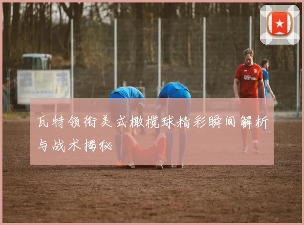 瓦特领衔美式橄榄球精彩瞬间解析与战术揭秘