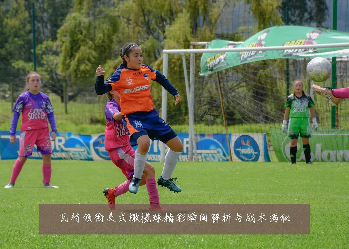 瓦特领衔美式橄榄球精彩瞬间解析与战术揭秘