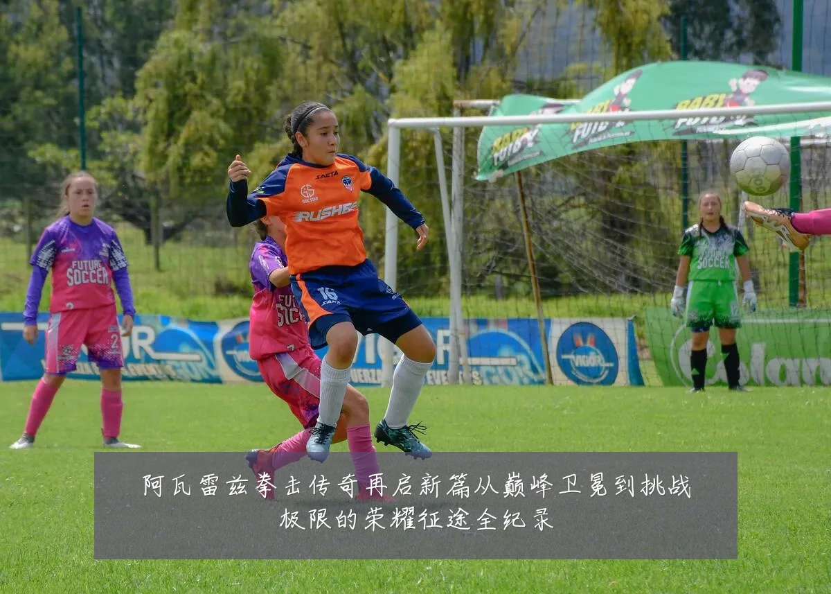 阿瓦雷兹拳击传奇再启新篇从巅峰卫冕到挑战极限的荣耀征途全纪录